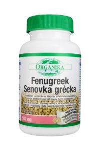 Pískavice řecké seno 500 mg x 60 kapslí