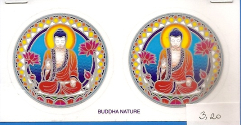 Nálepka malá - Buddha nature 6cm