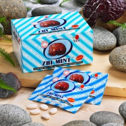 Zhi Mint Plus bonbóny s Reishi 12x25g