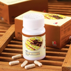 Cordyceps kapsle 60x450mg