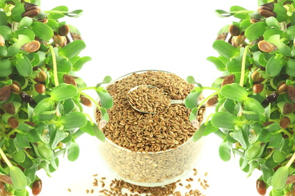 Lněný olej 250ml Bioplanete