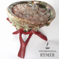 Abalone caddy