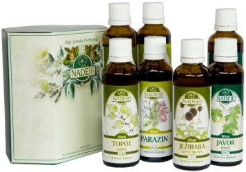 Antiparazitikum proti borelióze B3 300ml