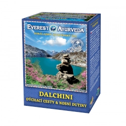 Himálajský čaj Dalchini 100g