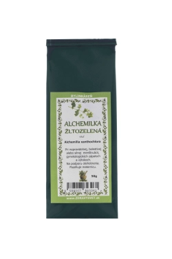 Alchemilka žlutozelená - větvička 50g