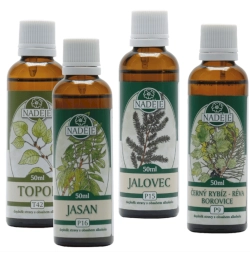 K24 Kura na posílení a podporu detoxikace po borelióze