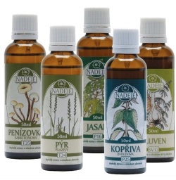 K41 jarní detoxikace organismu