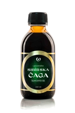 Chaga sibiřská lipozomální koncentrát