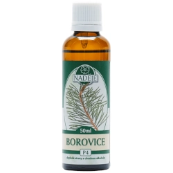 Borovice lesní 50ml, P4 - tinktura z pupenů rostlin