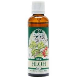 Hloh 50ml, P66 - tinktura z pupenů rostlin