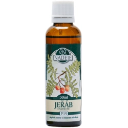 Černý bez 50ml, P19 - tinktura z pupenů rostlin