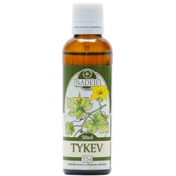 Dýně 50ml, T54 - bylinná tinktura