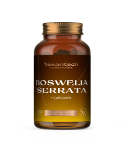 Vesantech Boswelia serrata 120 kapslí