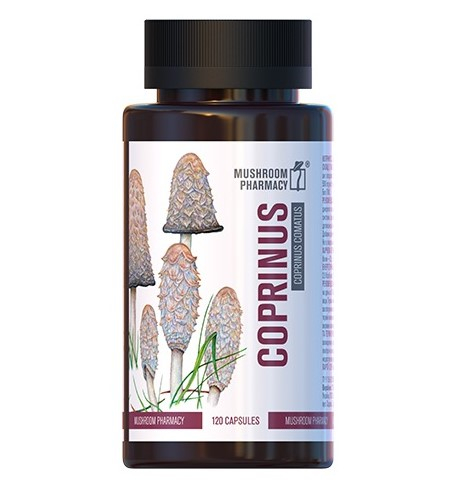 Coprinus Mushroom Pharmacy 120 kapslí – prémiový extrakt z houby Coprinus comatusCoprinus Mushroom Pharmacy od společnosti Phytobiotechnologi...
